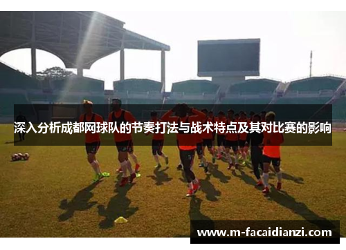 深入分析成都网球队的节奏打法与战术特点及其对比赛的影响